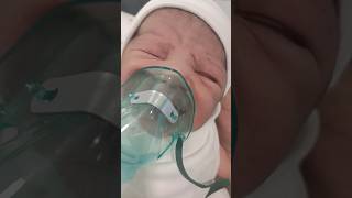 baby Nebulization in NICU baby shorts viral cute youtubeshorts nebulize [upl. by Trstram]