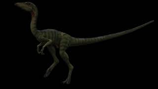 Compsognathus Sound Effects [upl. by Carmen]