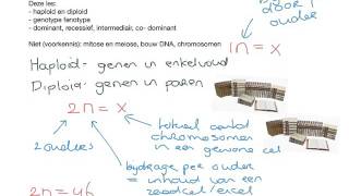BiologieErfelijkheidbasisbegrippen [upl. by Dupuis285]