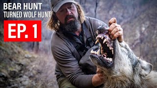 BEAR HUNT TURNED WOLF HUNT  🎬 GRITTY 4K FILM [upl. by Aborn999]