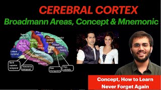 Cerebral Cortex  CNS Physiology  Brodmann Areas Mnemonic amp Conept Video  Neuroanatomy [upl. by Ahsiened]