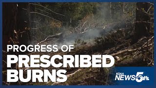 Progress of prescribed burns [upl. by Andres]