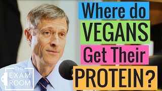 Can Vegans Get Enough Protein  The Exam Room Podcast [upl. by Atselec]