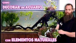 Consejos para decorar el acuario con elementos naturales [upl. by Jacquelin231]