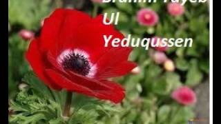 BRAHIM TAYEB  Ul yeduqussen [upl. by Meeharbi961]