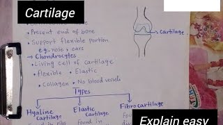 CartilageHyalineElasticFibrocartilageEndoskeleton Part 2Class 12Biology [upl. by Yrehc]