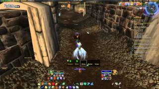 Teil 107 Barlow Drunken Vanion WoW Underskilled And Overgeared [upl. by Bartlet]