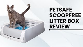 PetSafe ScoopFree Complete Plus Self Cleaning Cat Litterbox [upl. by Anirazc]