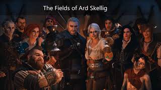 巫師3 音樂 The Fields of Ard Skellig [upl. by Dunkin]