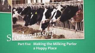 Stockmanship Part 5  Making the Milking Parlor a Happy Place [upl. by Airamanna]