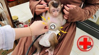 Mom took baby monkey DiDi to the doctor for diagnosis [upl. by Ng]