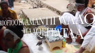 AMANTII WAAQEFFNNAA GALMAA MAGALAA ADAMAA [upl. by Melessa209]