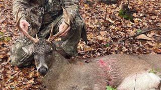 Alabama Palmated 10 point [upl. by Isac679]