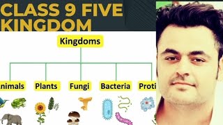 five kingdom system  classification of living organisms  viral video five kingdom systemkingdom [upl. by Eimile]