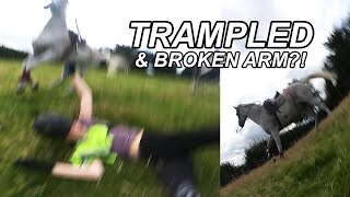 GOPRO HORSE FALL [upl. by Ahseila920]