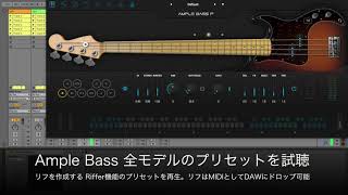 Ample Bass全モデルを試聴 [upl. by Broddie648]