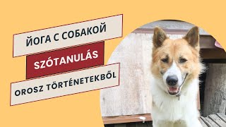 Tanulj hatékonyan orosz szavakat Йога с собакой russianlanguage orosznyelvtanulas russianstories [upl. by Barden]