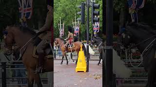 Trooping the Colour Rehearsal 2024 [upl. by Akenat]