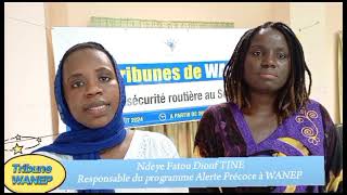 TRIBUNE DE WANEP SUR LINSECURITE ROUTIERE  REACTION DE Mme TINE RESPONSABLE DU PROGRAMME NEWS [upl. by Eelyak]