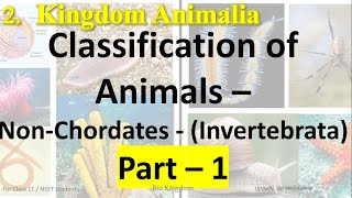 11th Class  Bio Zoology  Lesson 2  Kingdom Animalia  Invertebrata  Nonchordates  Part 1NEET [upl. by Pomona]