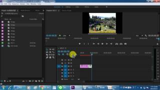 Premiere Pro 圖片時間設定 [upl. by Eibreh815]