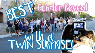 BEST GENDER REVEAL WITH TWIN SURPRISE [upl. by Enneira]