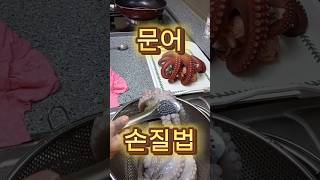 흑백요리사 계급도 필수코스 문어숙회 딱1분 손질 꿀팁방출 숙회 cabbage kimchiiskorea kimchi koreanfood netflix 흑백요리사 [upl. by Wehhtam378]