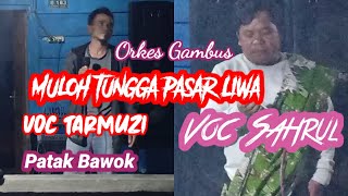 Patak BawokVOC TarmuziVOC SahrulMuloh Tungga Pasar Liwaadatbudaya orkesgambuslampung [upl. by Hselin]