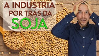 SOJA E CARNE DE SOJA FAZ BEM E UMA BOA FONTE DE PROTEINA VEGANA [upl. by Lienahs]