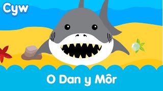 Cân O Dan y Môr Cyw  Cyws Under the Sea Song [upl. by Tugman]