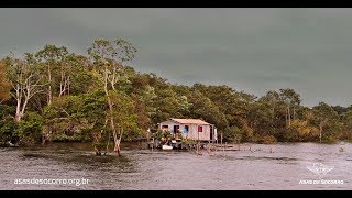 Vida na Amazônia  Asas de Socorro [upl. by Tamah36]