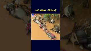 అది ఊరా చెరువా  Vijayawada Floods  TV9 [upl. by Gladine]