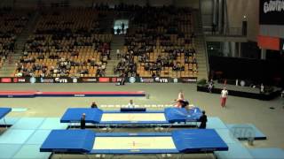 KRZEMIEN Tomasz POL  2015 Trampoline Worlds  Qualification TR Routine 2 [upl. by Maxima]