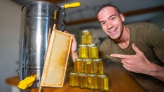 How honey is harvested  From beehive to jars [upl. by Esiahc]