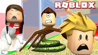 ROBLOX PET ESCAPE w Gamer Chad amp Dollastic Plays  MicroGuardian [upl. by Annovahs]