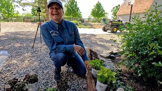 Planting 3 Full Sun amp 3 Shade Containers in My Parent’sGarden 🥰🪴🌸  Garden Answer [upl. by Llerret]