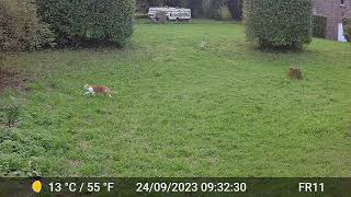 Videos Only Edit GardePro A3 Trail Camera 1 of 8 FR11 Côtes dArmor Brittany France [upl. by Rubma821]