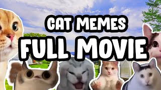 CAT MEMES ROAD TRIP COMPILATION [upl. by Annetta]