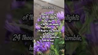 I love you Lord  Best Worship Song jesus bible praise [upl. by Yrdua928]