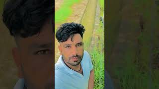 Jat di joon buri punjabi punjabisong foryou farming farmer jattlife desi subscribe jati [upl. by Eryt]