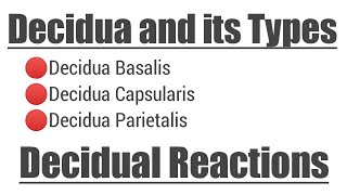 Decidua and its Types  Decidual Reactions [upl. by Nosoj949]