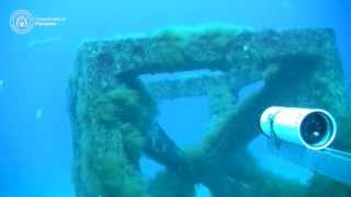 Underwater video of Dunsborough artificial reef [upl. by Manly582]