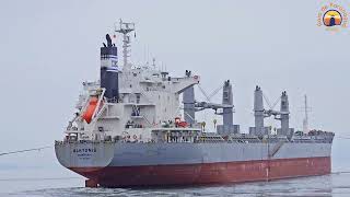 UNBERTHING  VESSEL ALKYONIS  PORT OF PARANAGUA  BRAZIL [upl. by Nohsyar707]