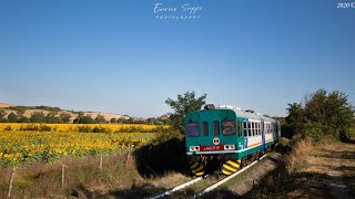 Treni sulla Siena  Grosseto [upl. by Thatch348]