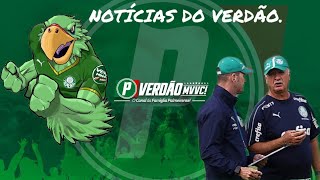 VERDÃO REALIZA TREINO TÉCNICO E TÁTICO NUMERAÇÃO OFICIAL E OS 21 JOGADORES P O PAULISTA [upl. by Allicserp429]