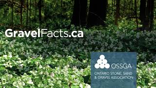 Trilliums Guelph 1920x1080 YouTube HQ 15sec 29 97fps 16000kbps Audio320kbps Sept30th2022 [upl. by Tearle]