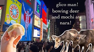 Japan Vlog  Bowing deer in Nara Japan  1 of 6 [upl. by Chapman731]