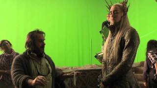 Hobbit Desolation of Smaug Extended Edition Thranduil vs Thorin [upl. by Atiruam157]