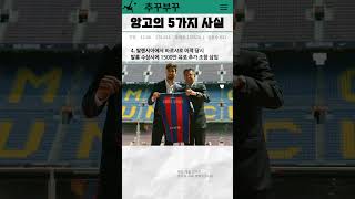 한국인이 부활 응원하는 quot안드레 고메스quot의 몰랐던 5가지 사실 [upl. by Igor]