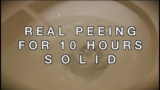 Peeing Sound for TEN HOURS  Sound to Make You Pee  High Quality Recording [upl. by Aerdnaed288]